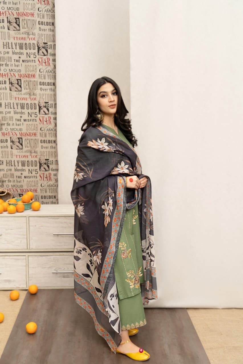 Dhanak 3 Piece Embroidered Suit (Article 21)